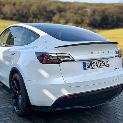 Tesla Schriftzug für alle Tesla Modelle